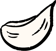 Illustration of a garlic clove