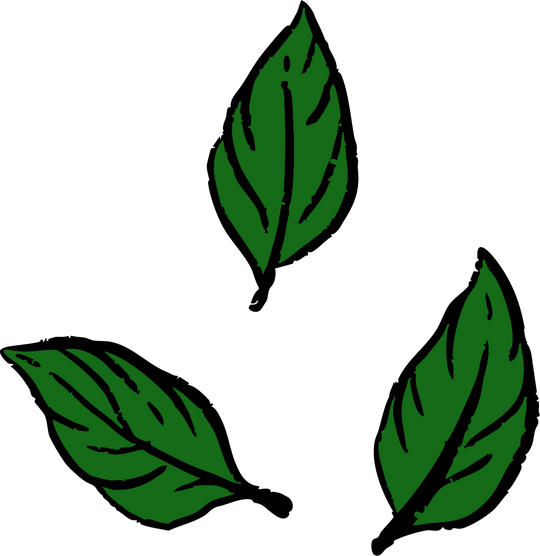 Three green leaves